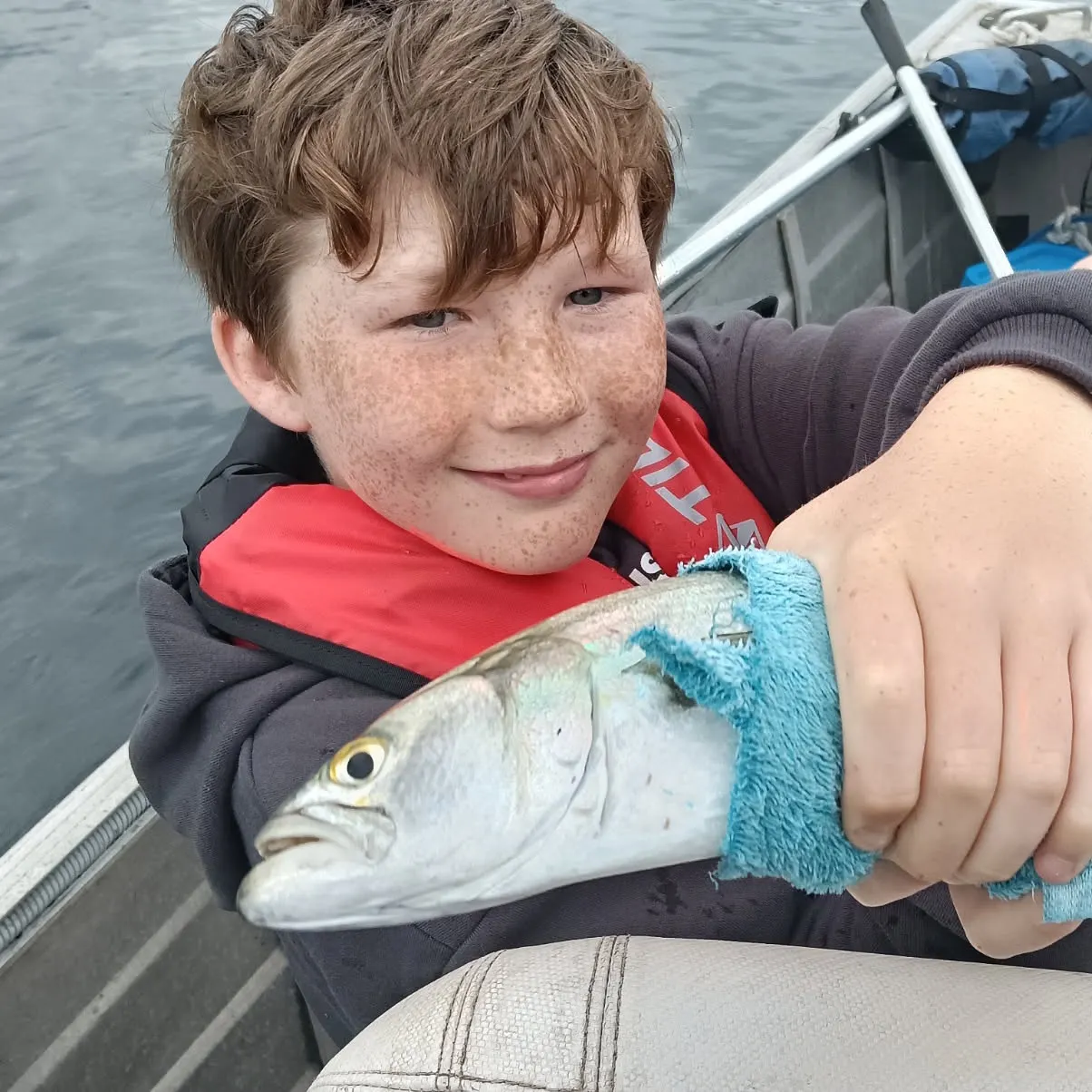 Bluefish caught on Fishbrain