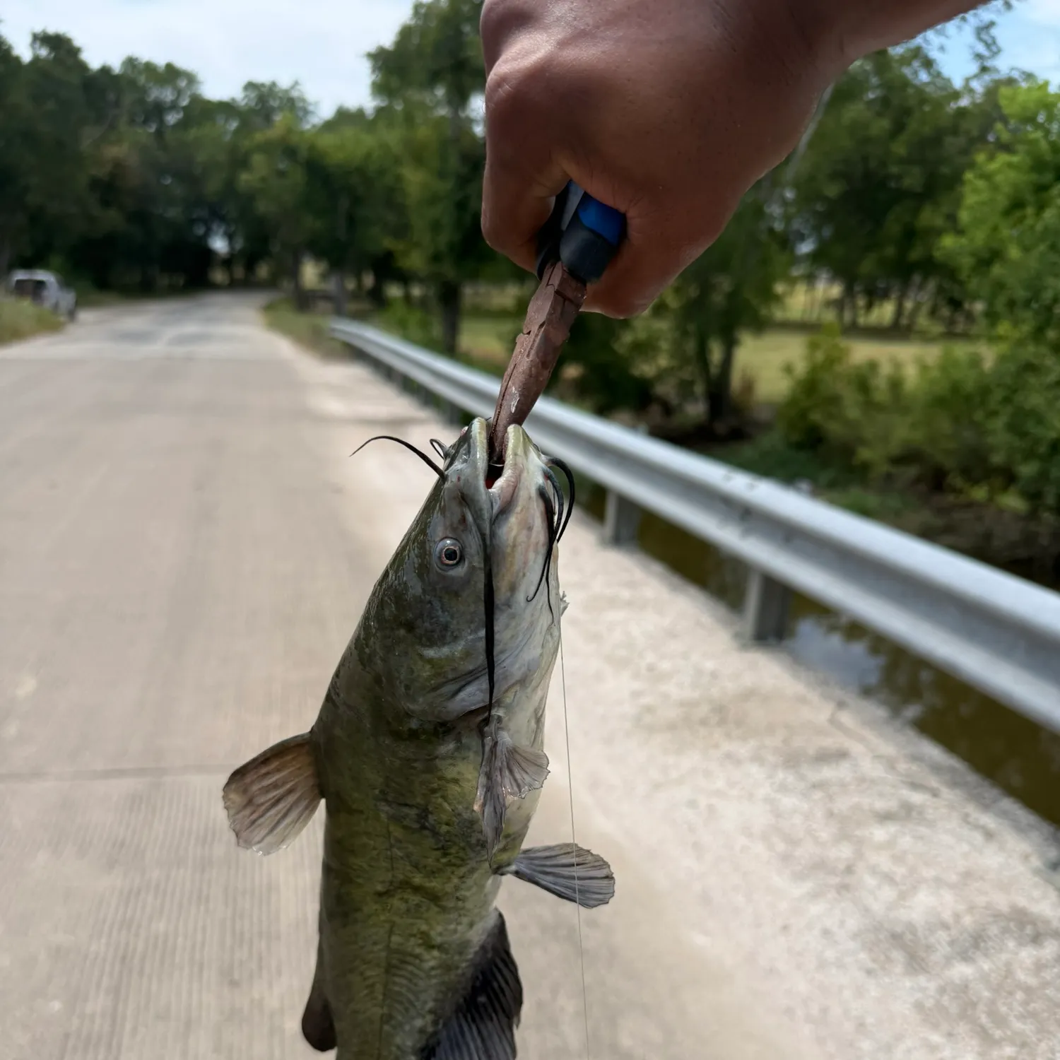 catch
