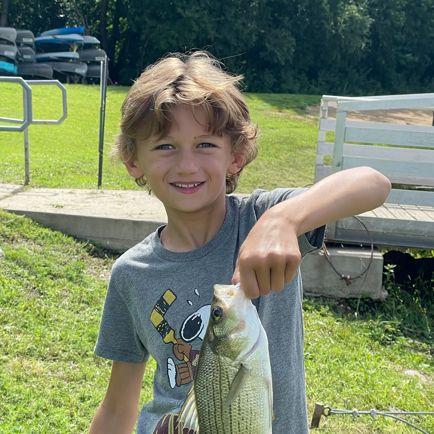 White bass caught on Fishbrain