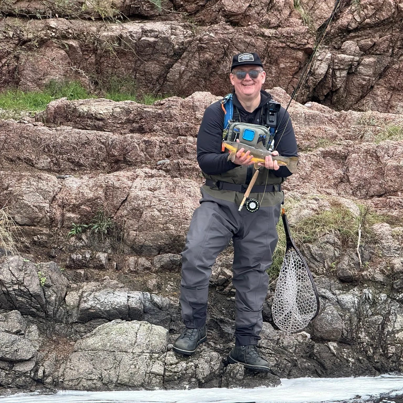 The most recent Sonora sucker catches on Fishbrain