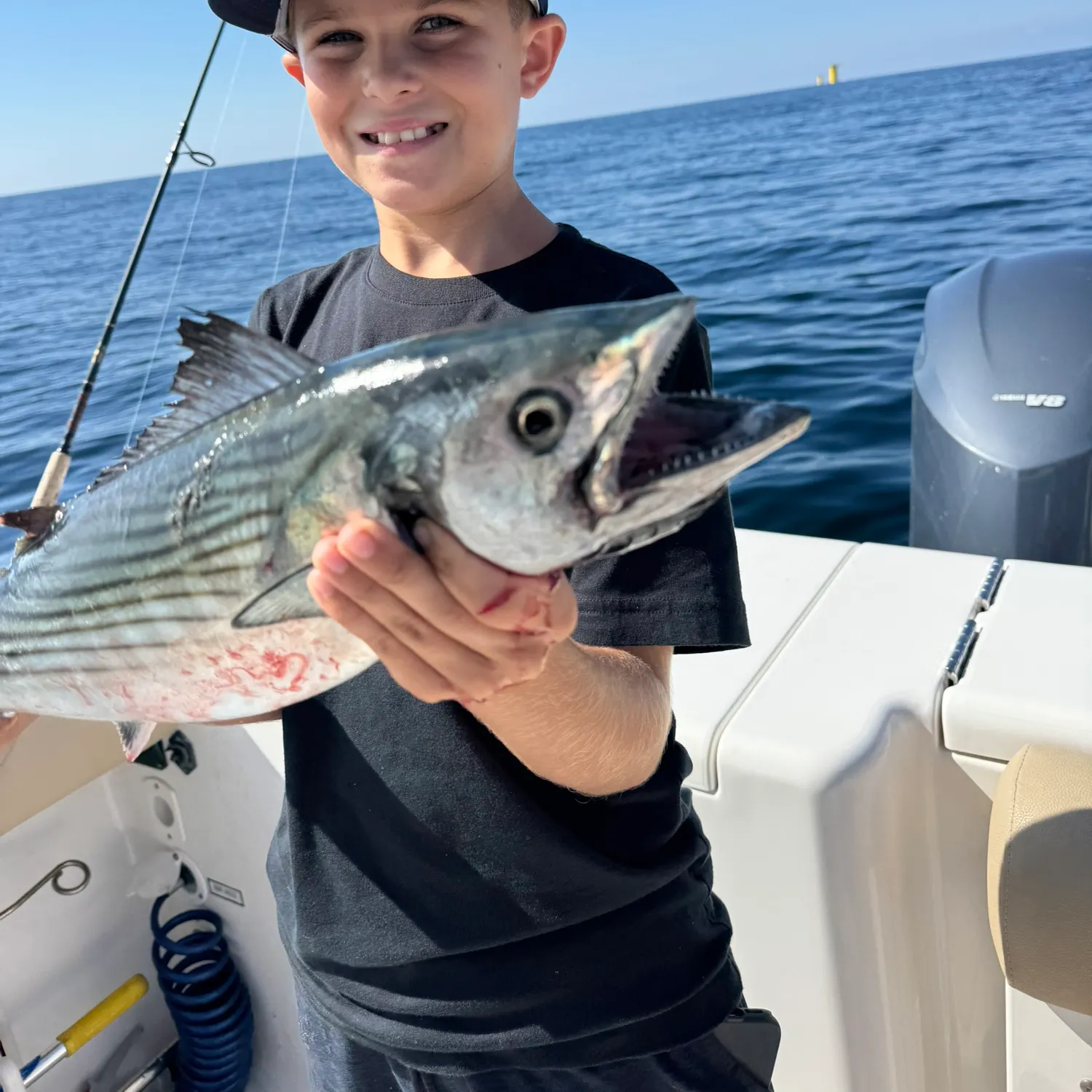 The most recent Atlantic bonito catches on Fishbrain