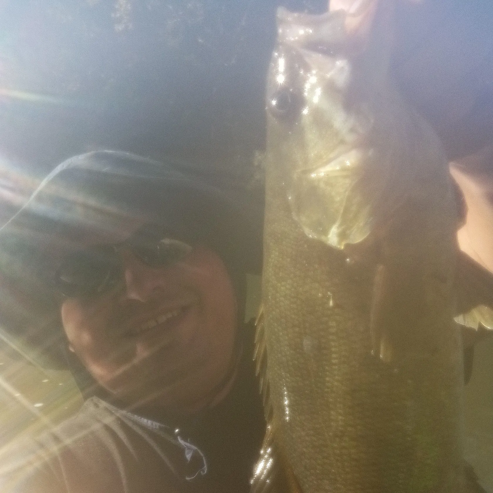 Smallmouth bass caught on Fishbrain
