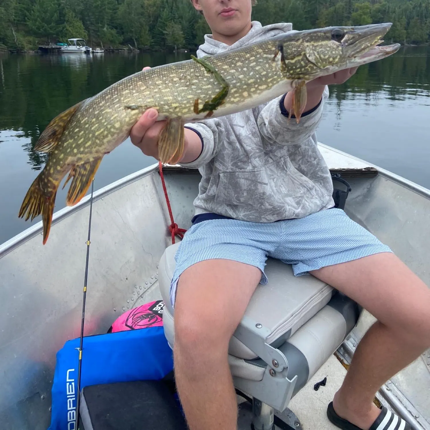 Northern pike caught on Fishbrain