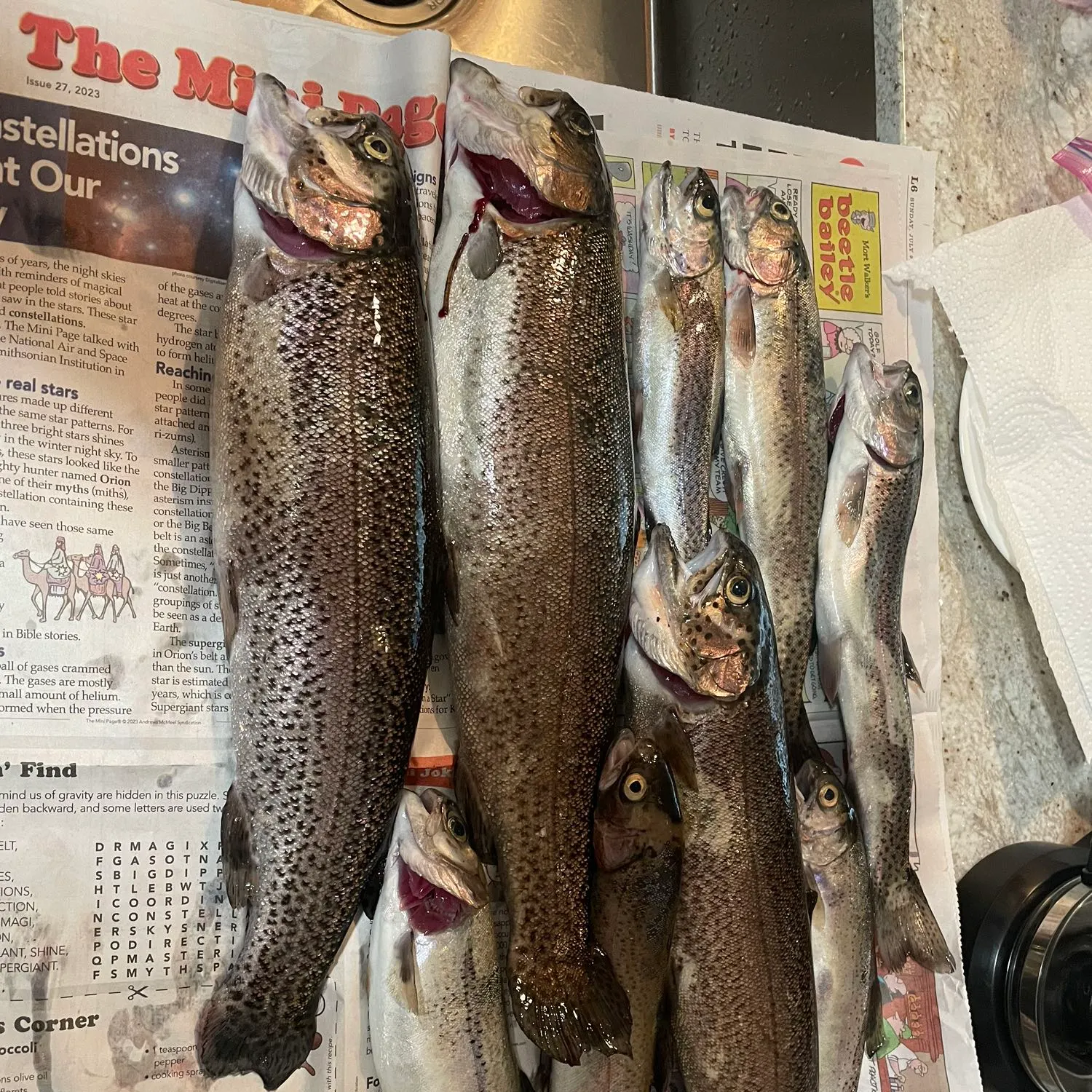 recently logged catches