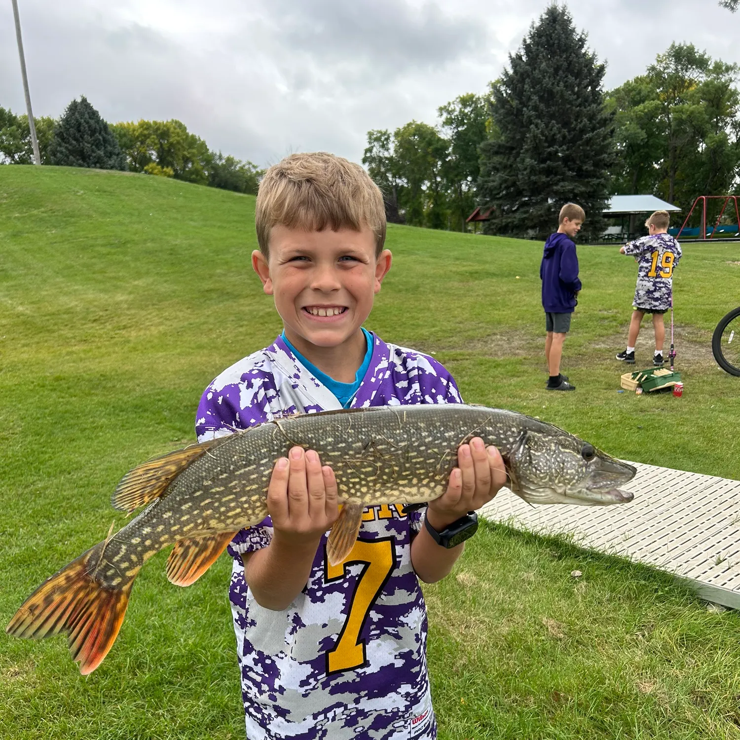 Northern pike caught on Fishbrain