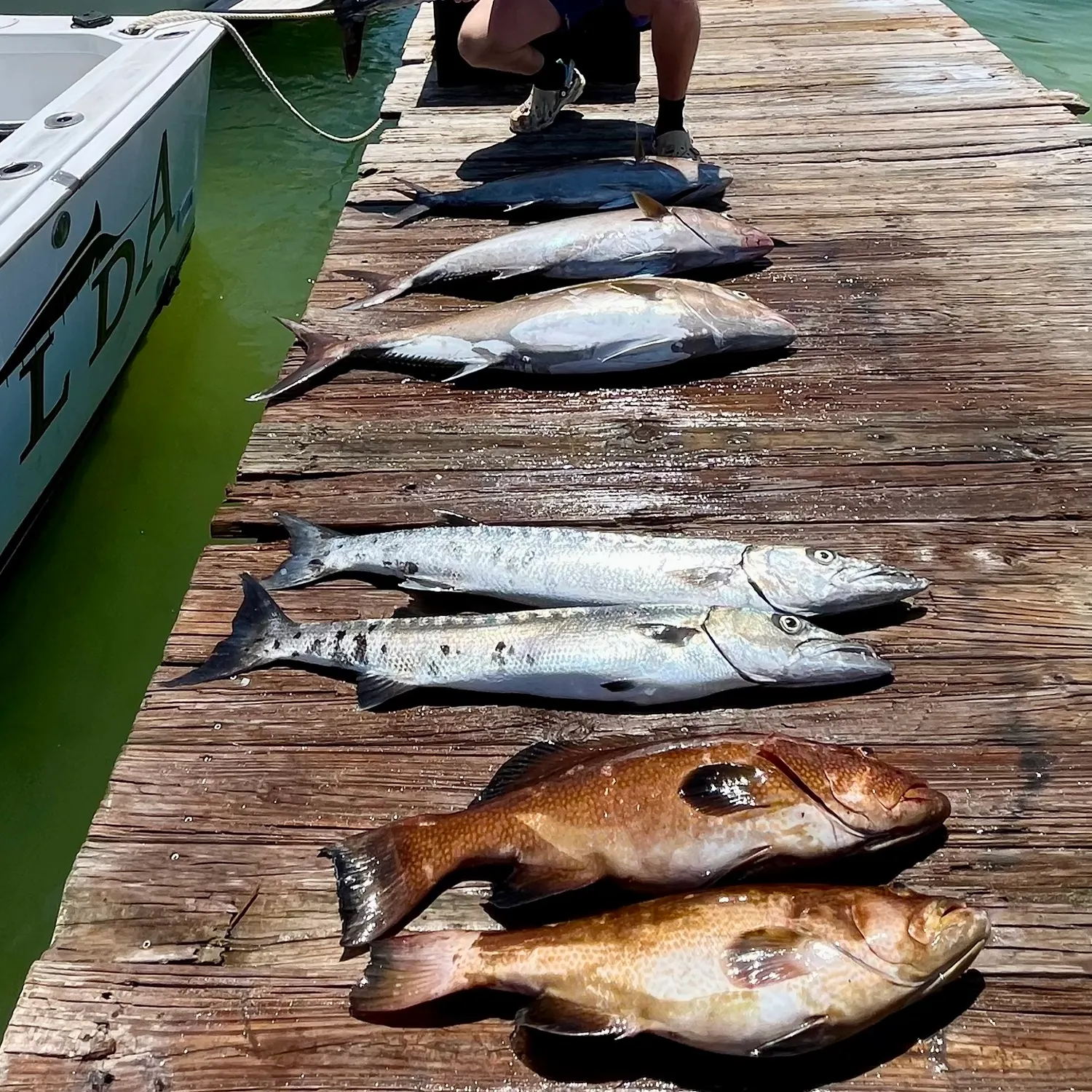 recently logged catches