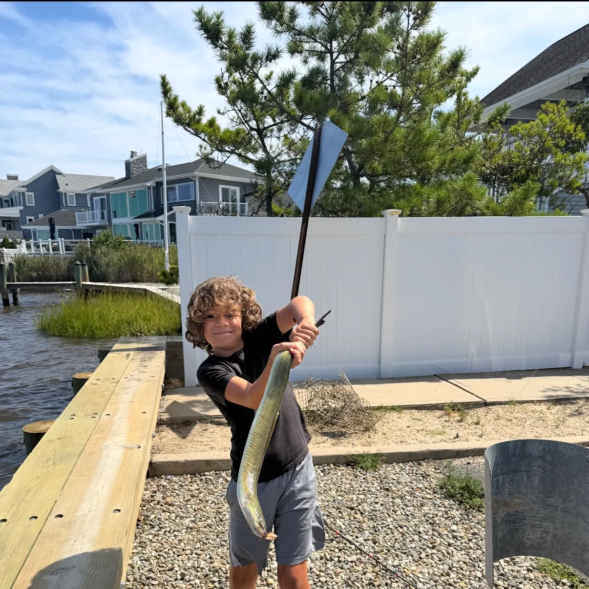 American eel caught on Fishbrain