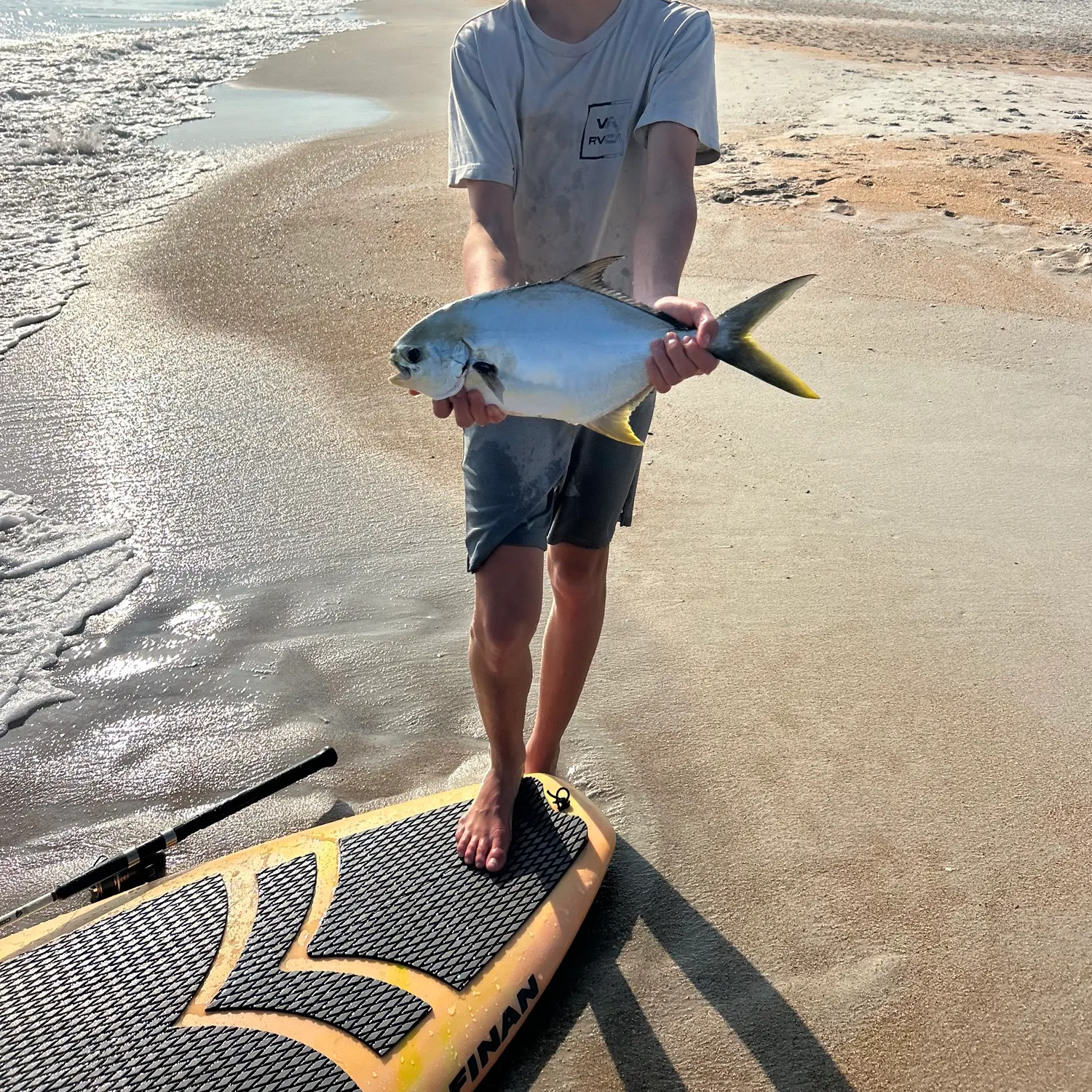 The most recent Florida pompano catches on Fishbrain