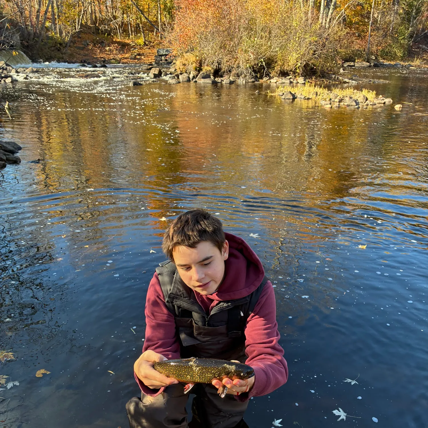 Fish caught on Fishbrain