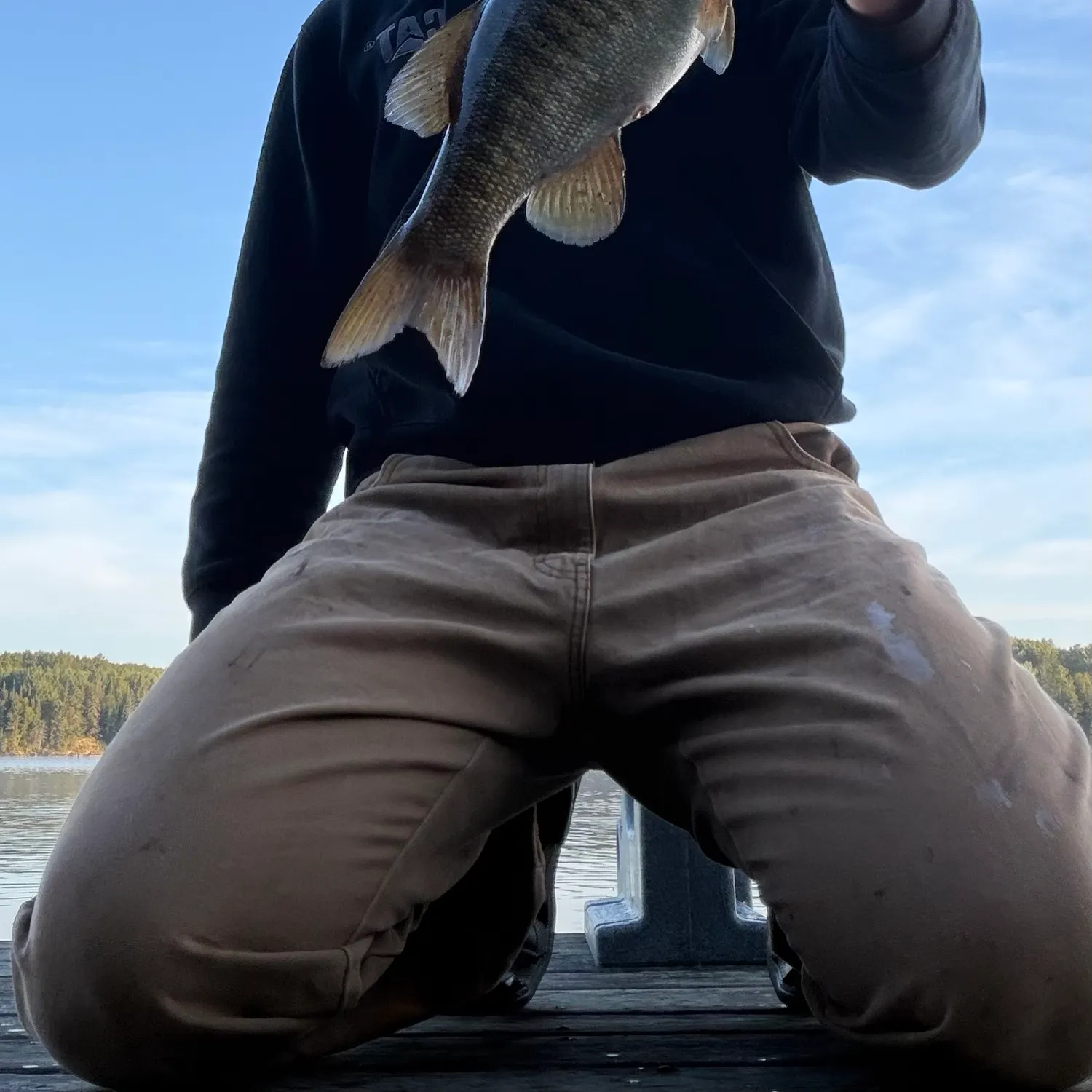 Smallmouth bass caught on Fishbrain