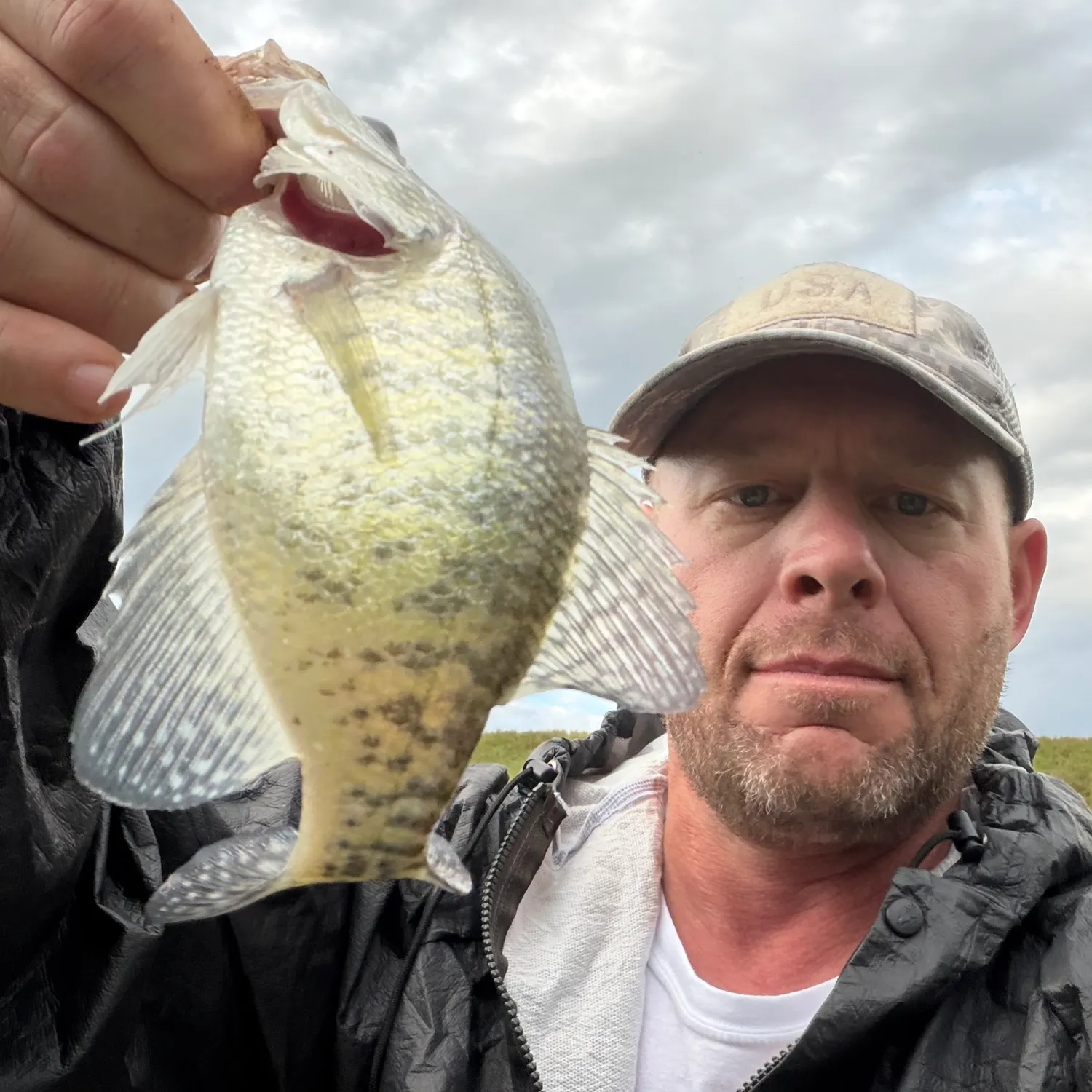 White crappie caught on Fishbrain