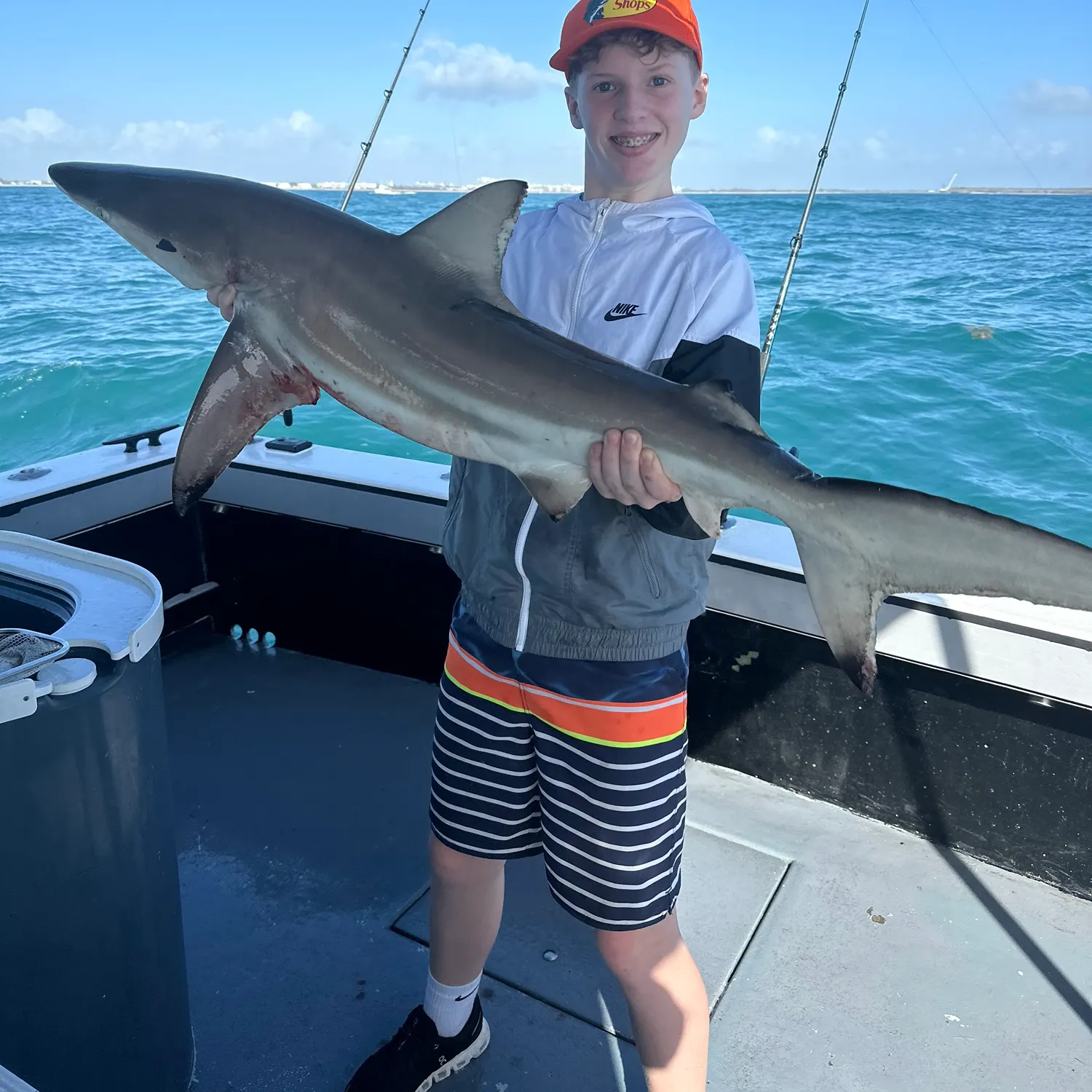 The most recent Blacknose shark catches on Fishbrain
