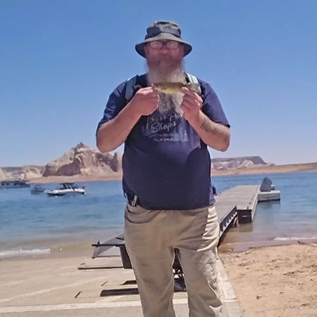 angler catch