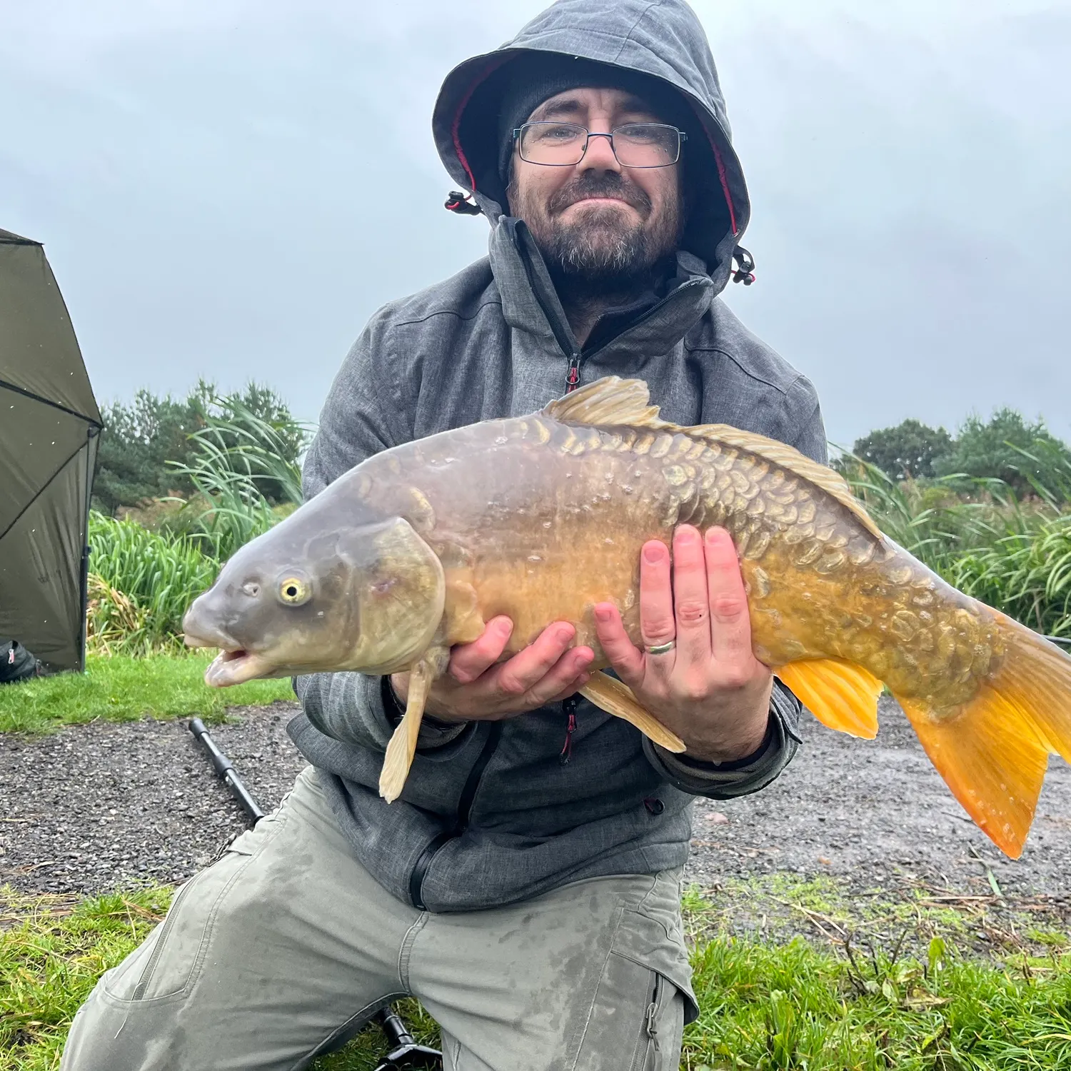 Mirror carp caught on Fishbrain
