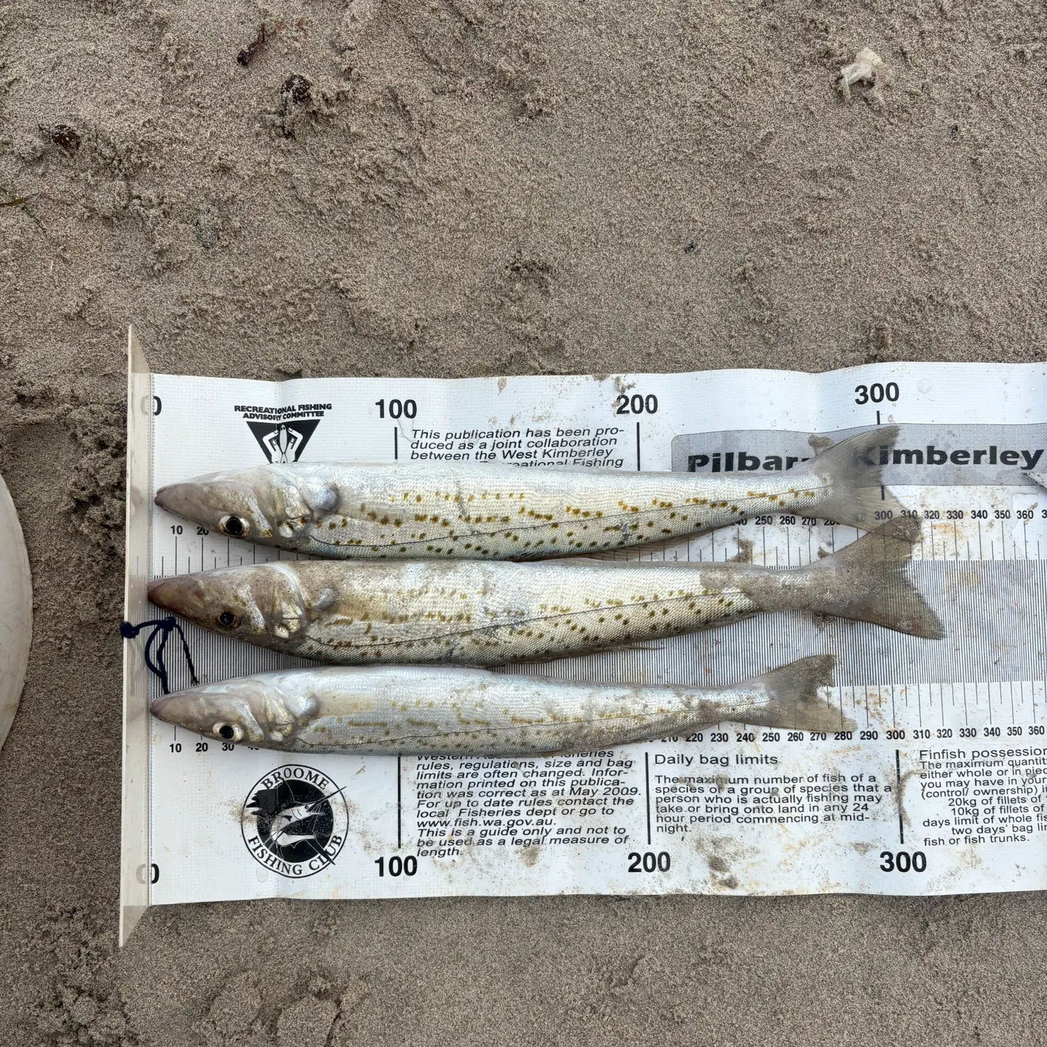 recently logged catches