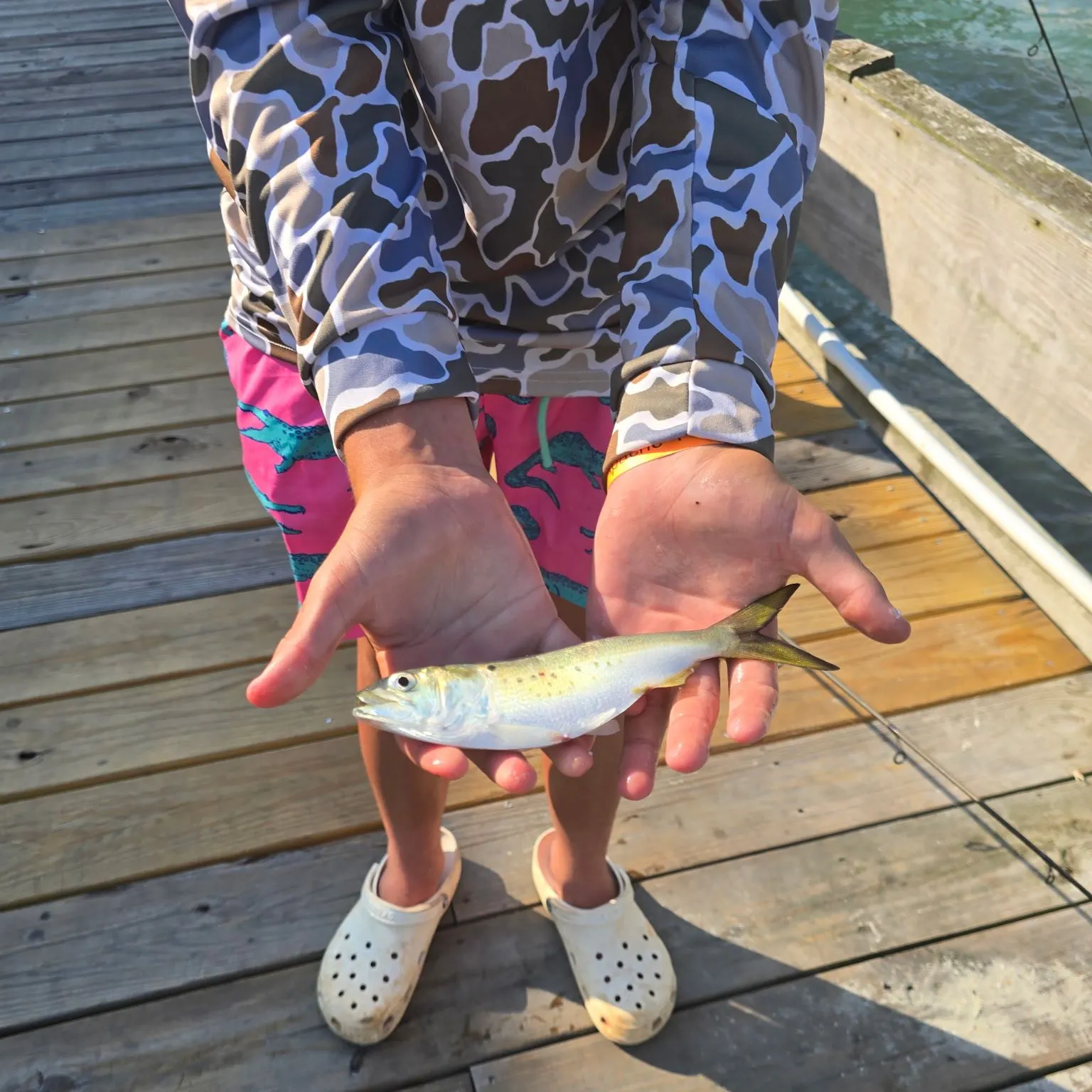 The most recent Gulf menhaden catches on Fishbrain