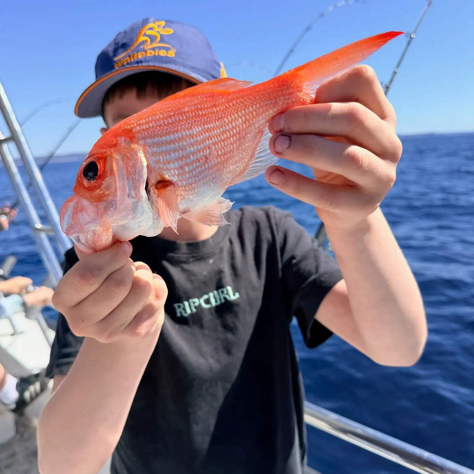 The most recent Malabar blood snapper catches on Fishbrain