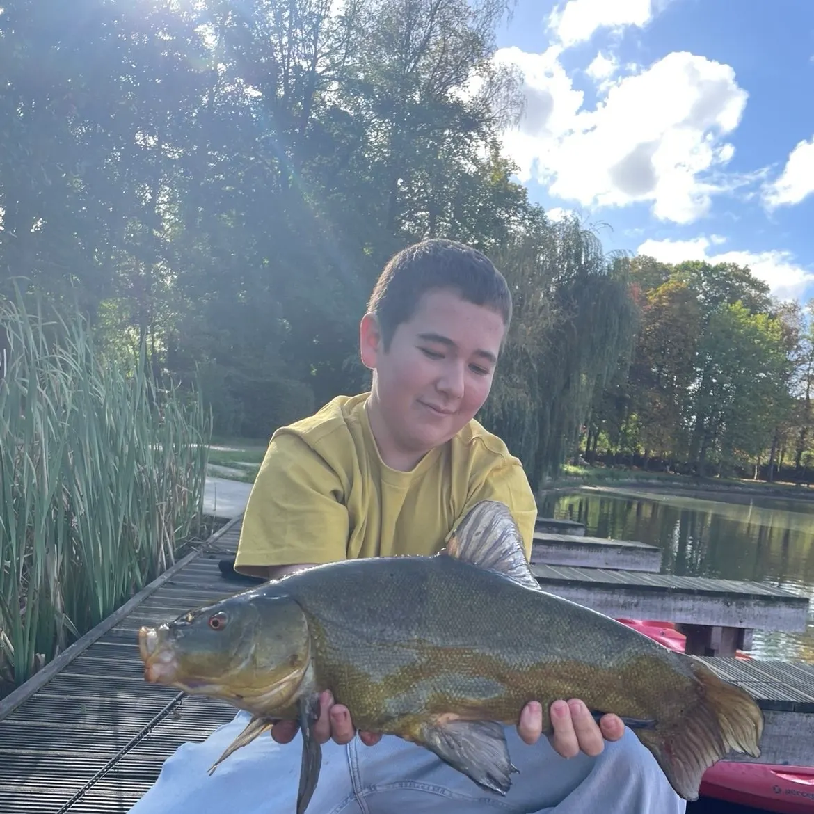The most recent Tench catches on Fishbrain