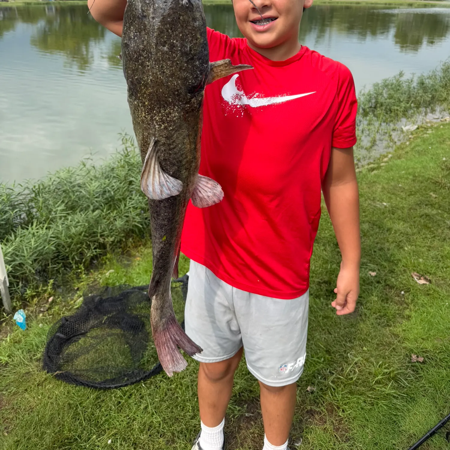 Flathead catfish caught on Fishbrain