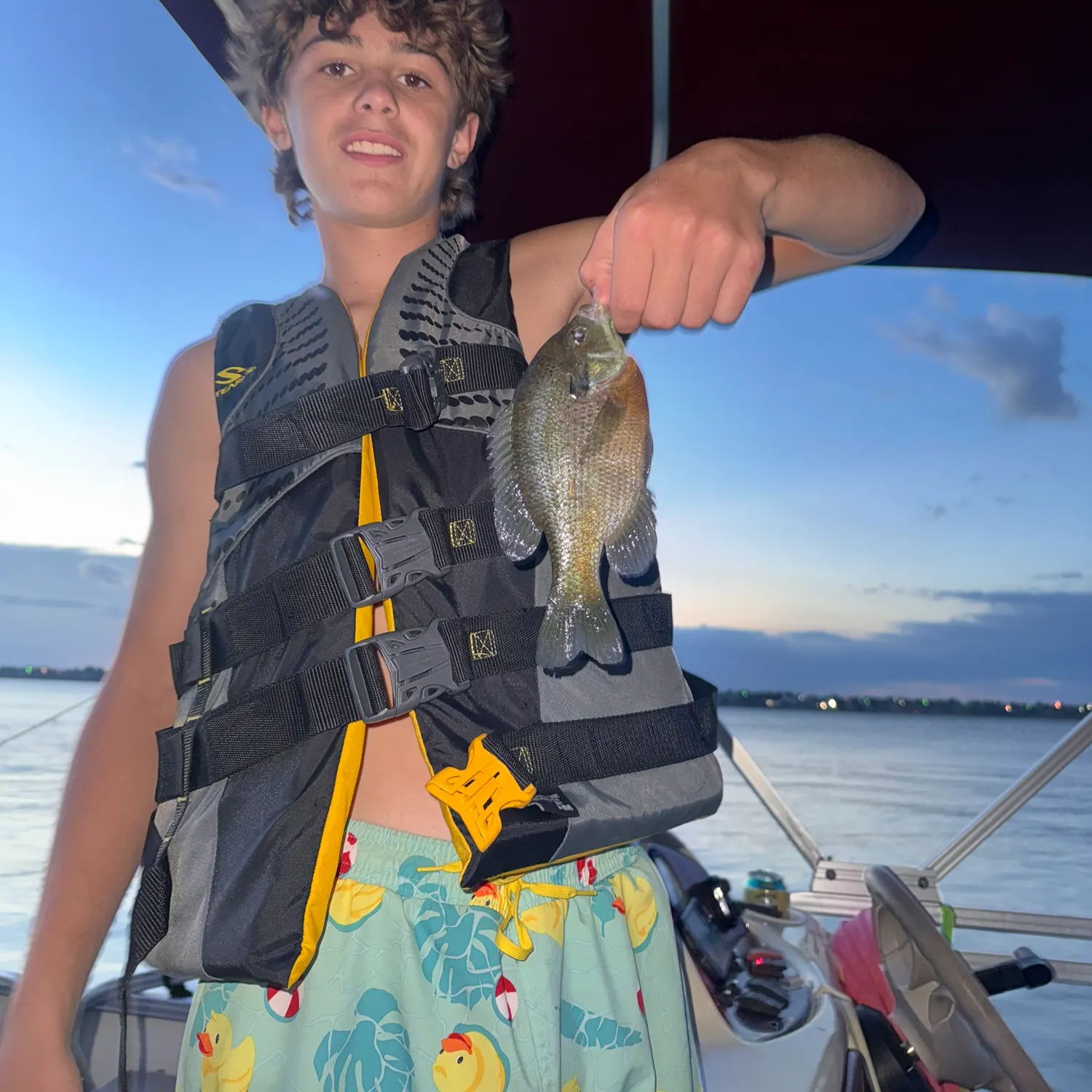 The most recent Bluegill catches on Fishbrain
