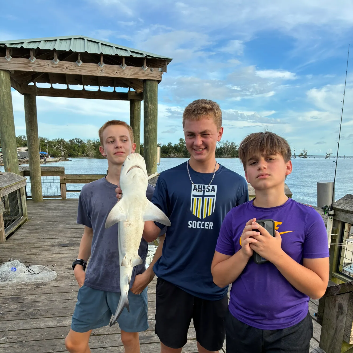 Blacktip shark caught on Fishbrain