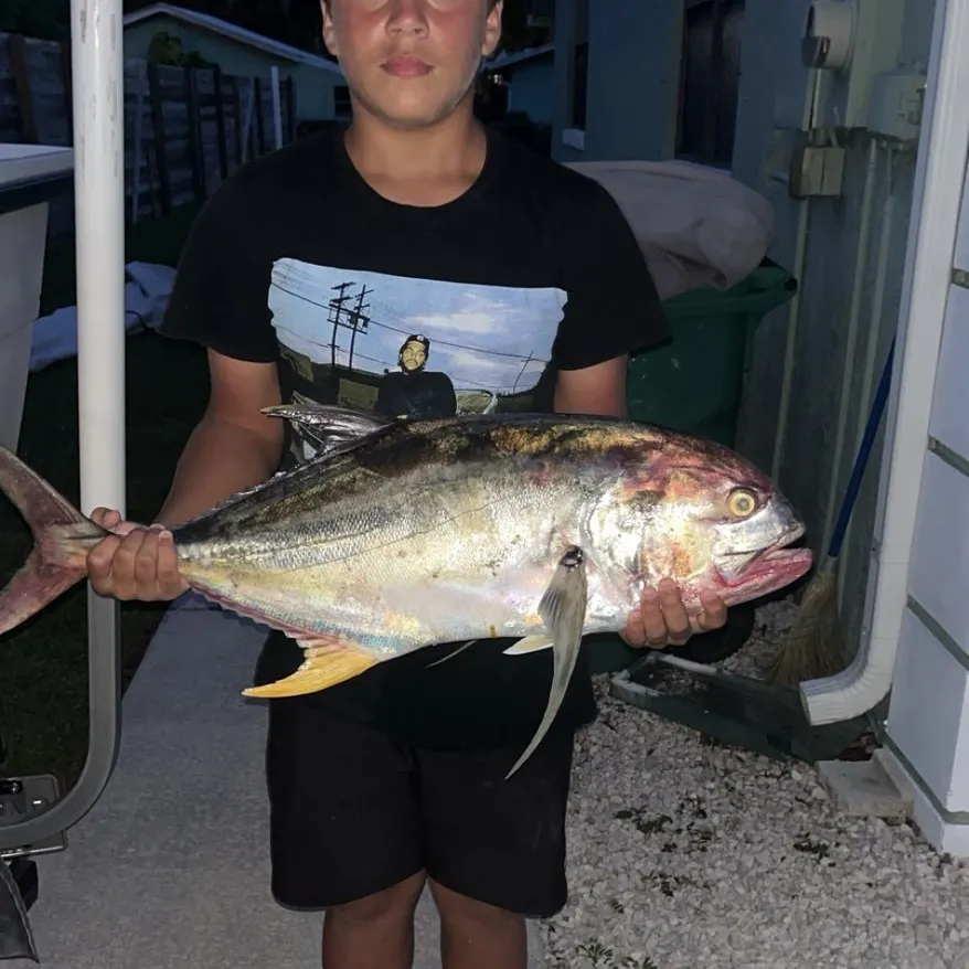 Crevalle jack caught on Fishbrain