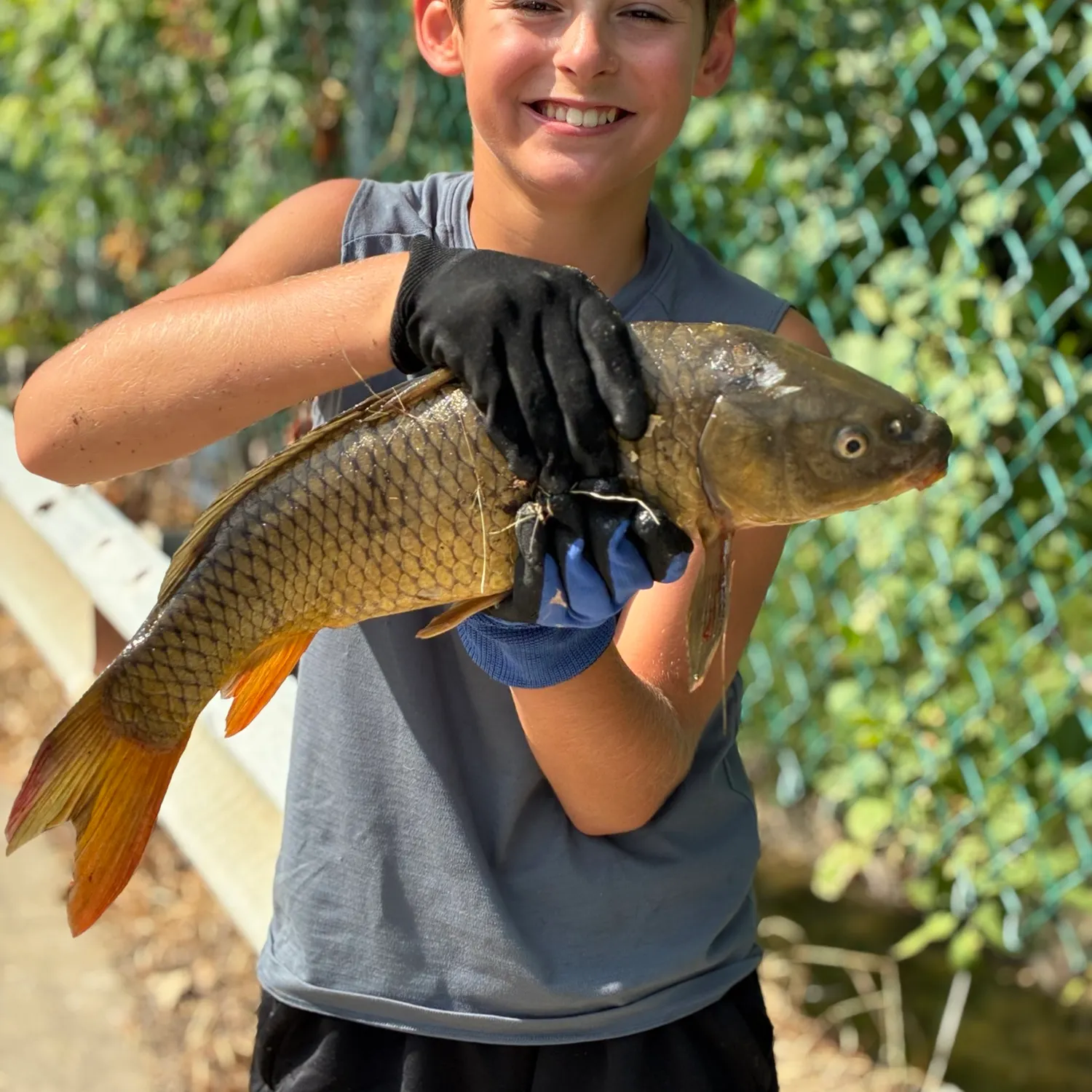 catch