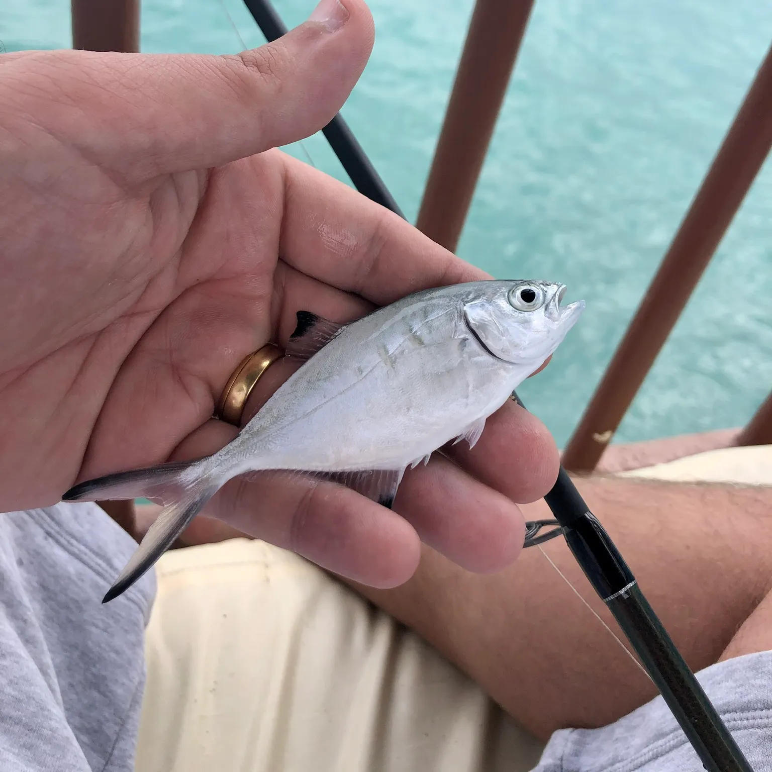 most liked catch image