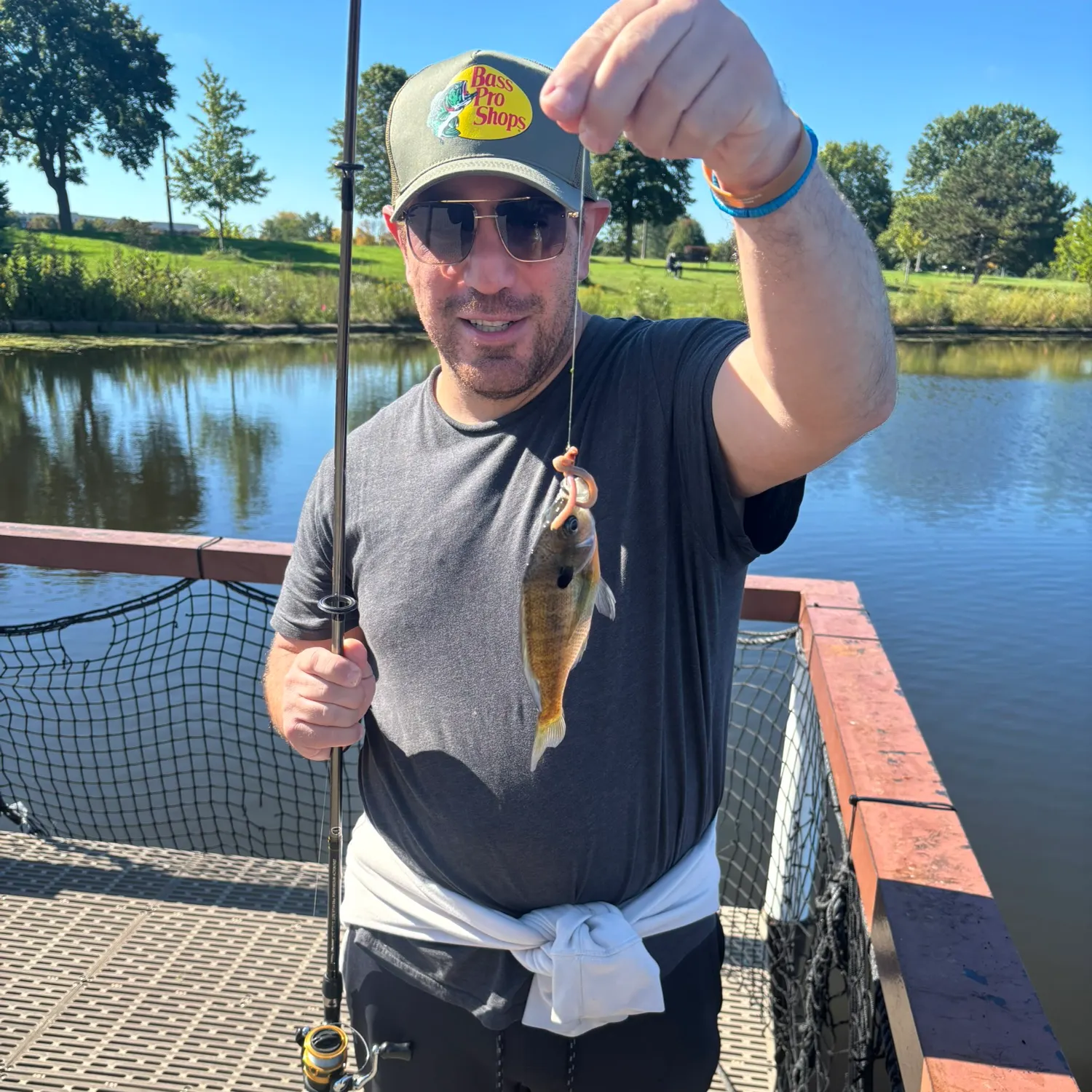 Bluegill caught on Fishbrain