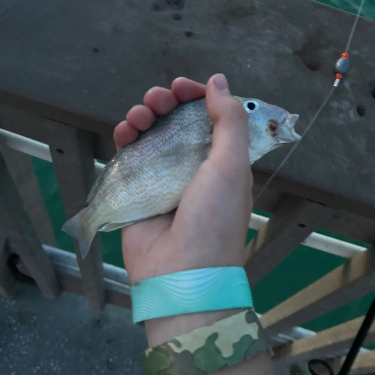 catch