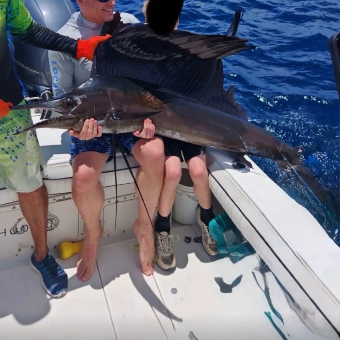 The most recent Indo-Pacific sailfish catches on Fishbrain