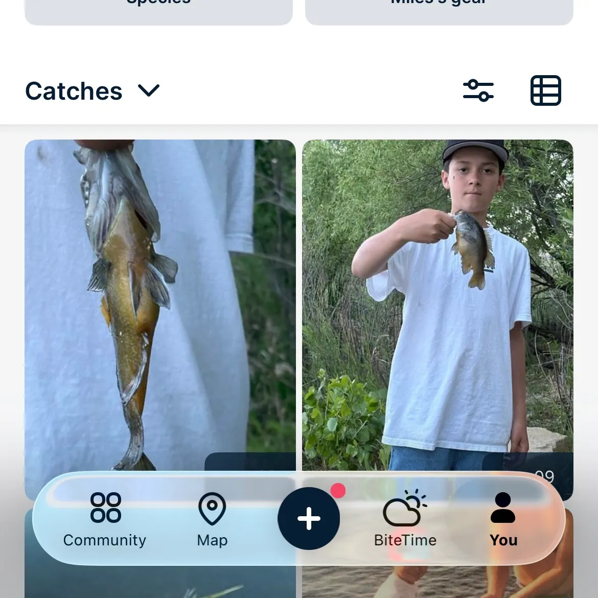 catch