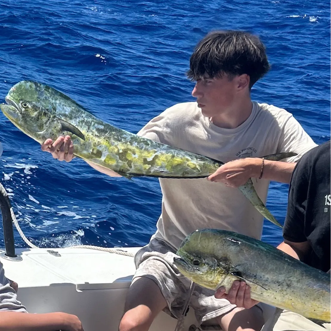 Common dolphinfish caught on Fishbrain