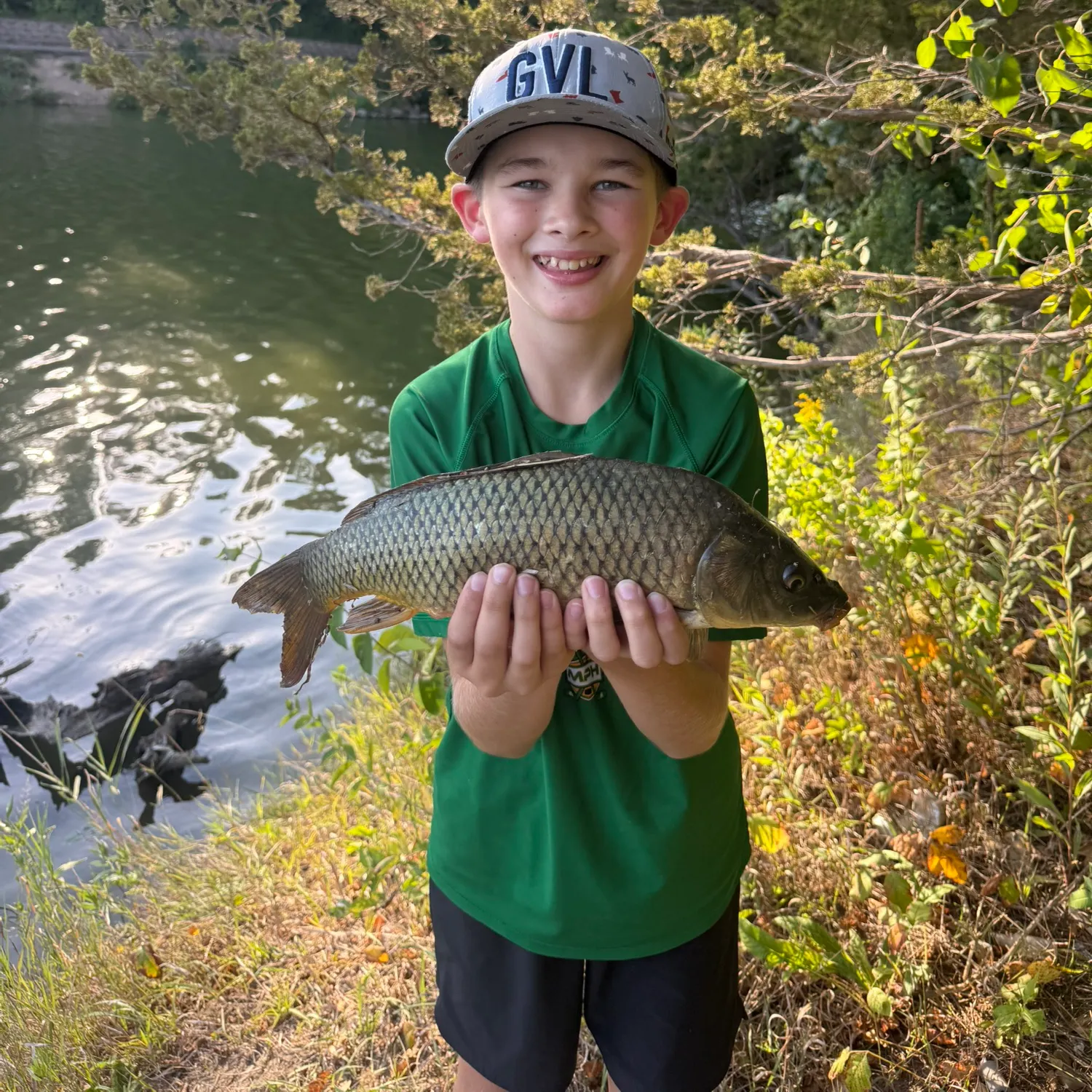 Common carp caught on Fishbrain