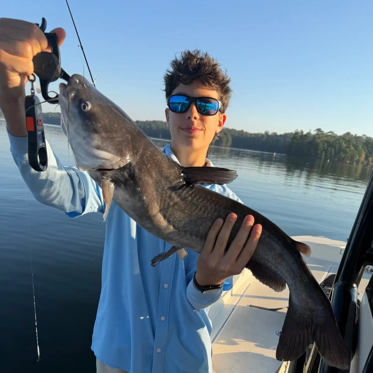 Blue catfish caught on Fishbrain
