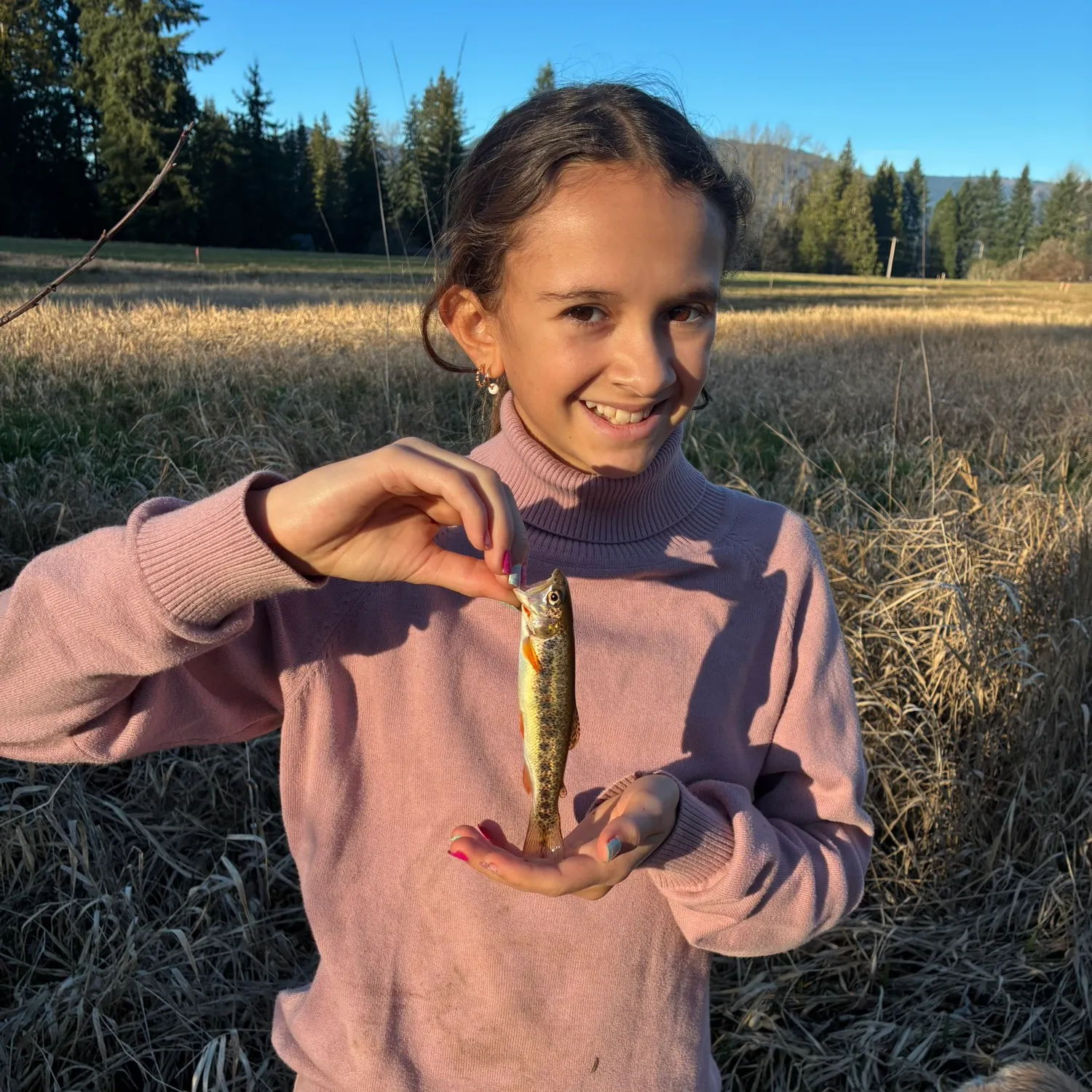 The most recent Cutthroat trout catches on Fishbrain