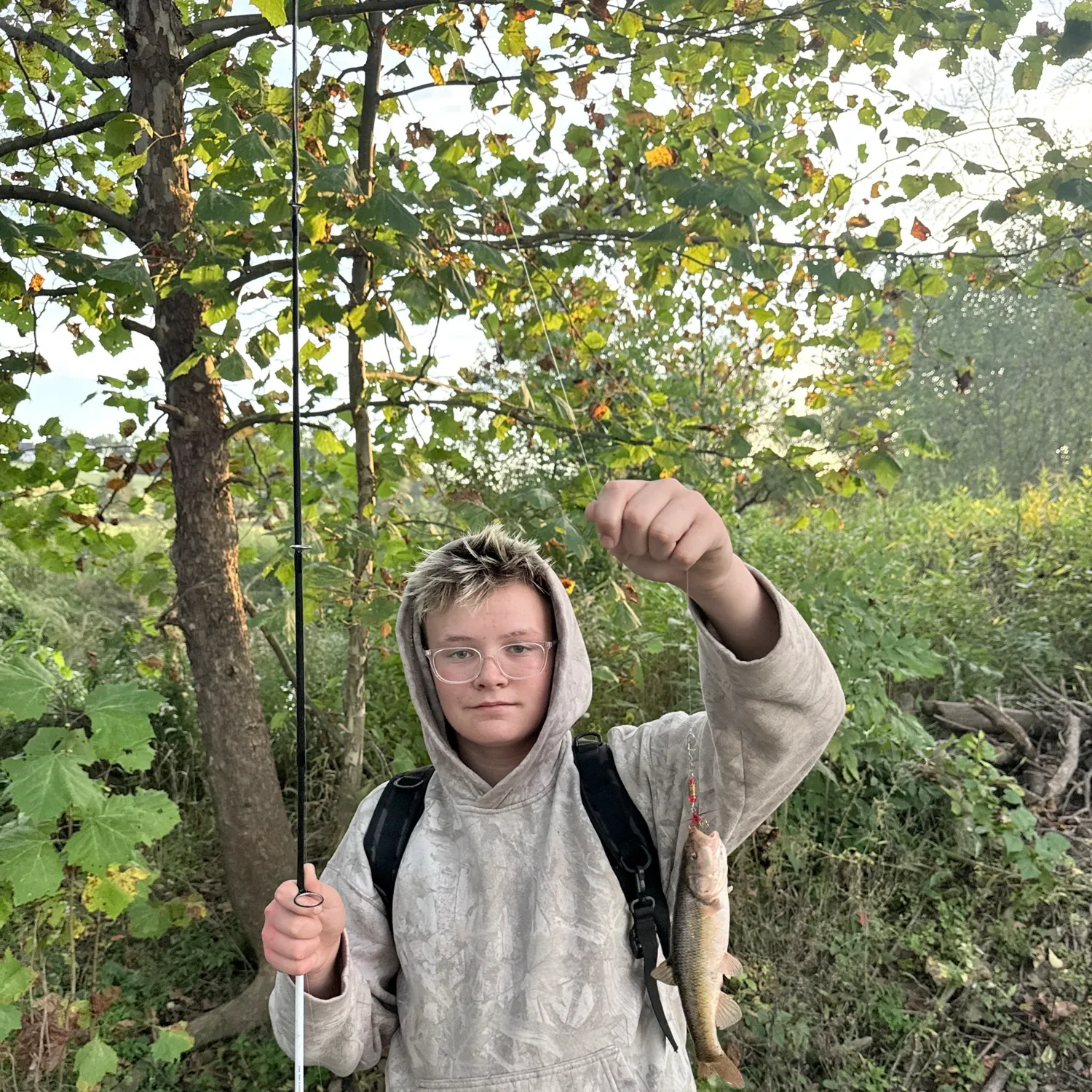 Creek chub caught on Fishbrain