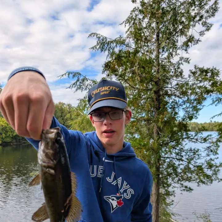Smallmouth bass caught on Fishbrain