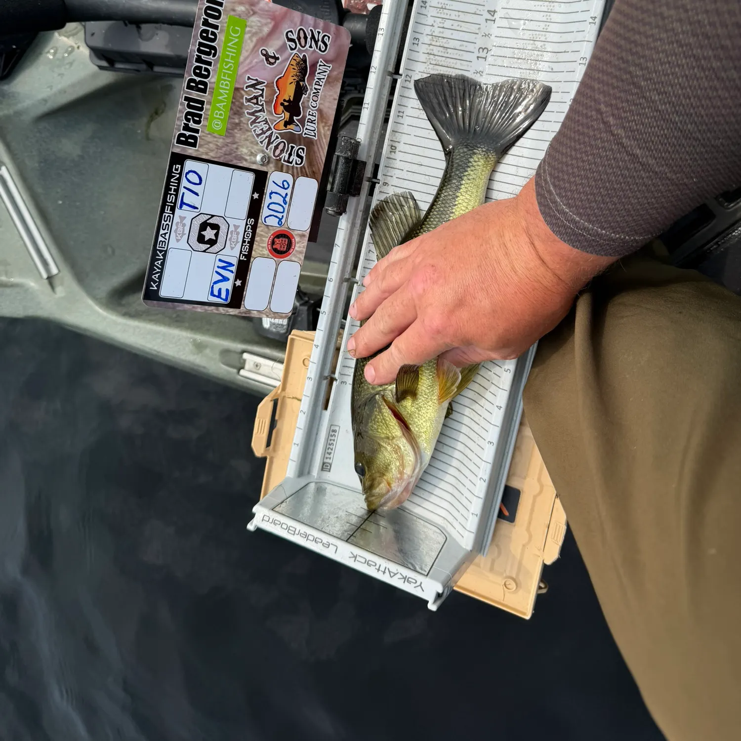 recently logged catches
