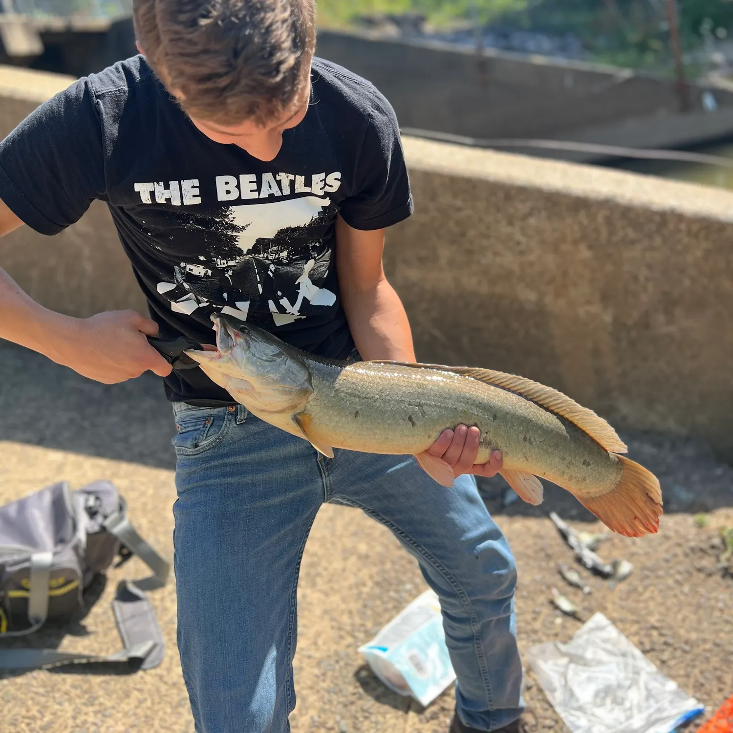 catch