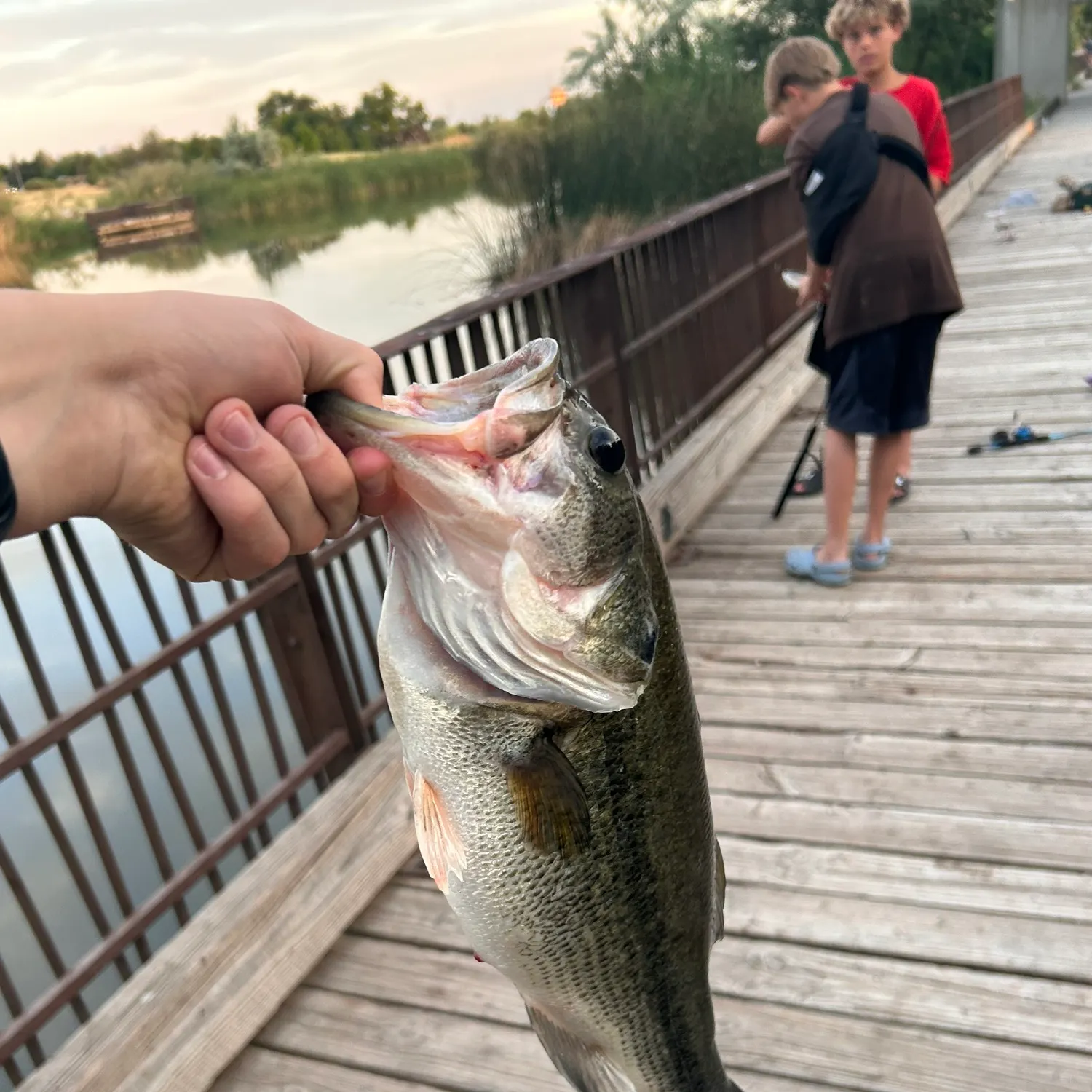 catch