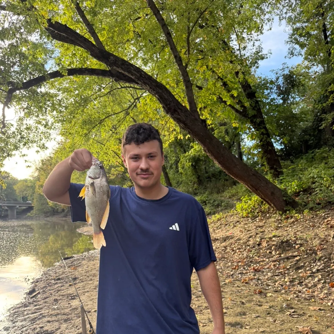Freshwater drum caught on Fishbrain