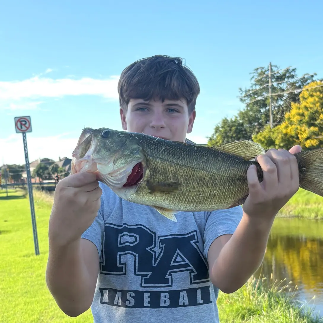 Fish caught on Fishbrain