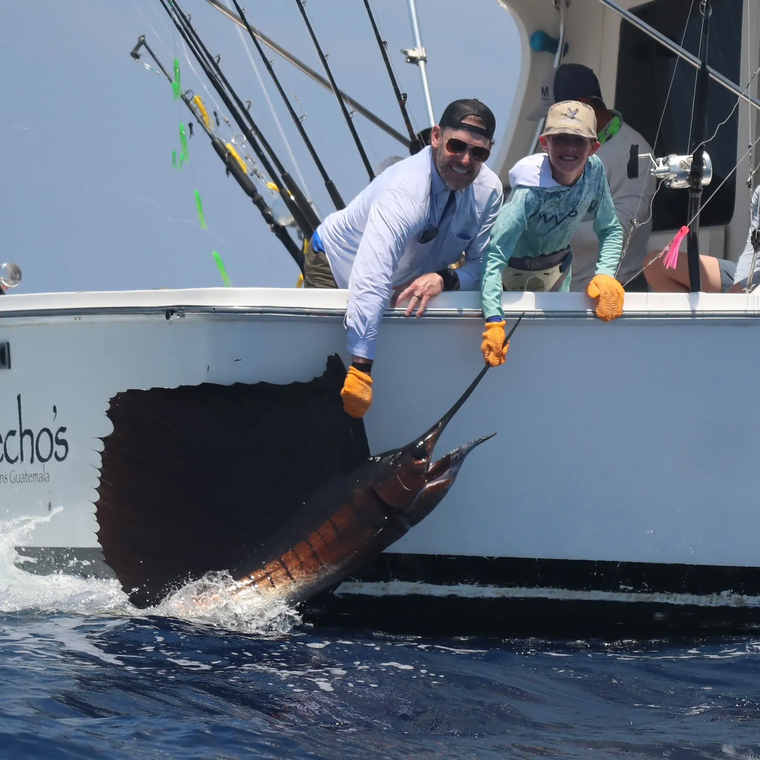 The most recent Indo-Pacific sailfish catches on Fishbrain