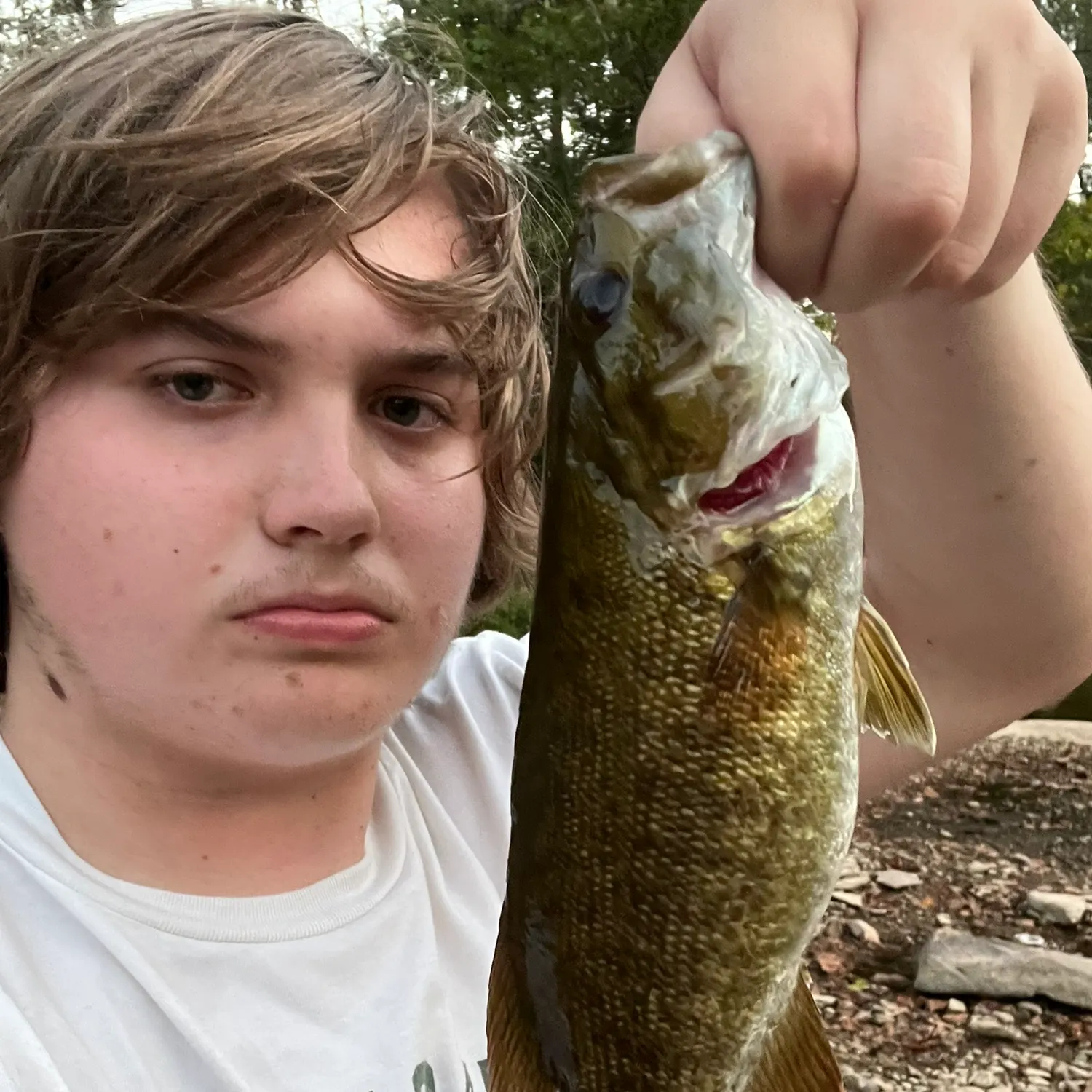 Smallmouth bass caught on Fishbrain