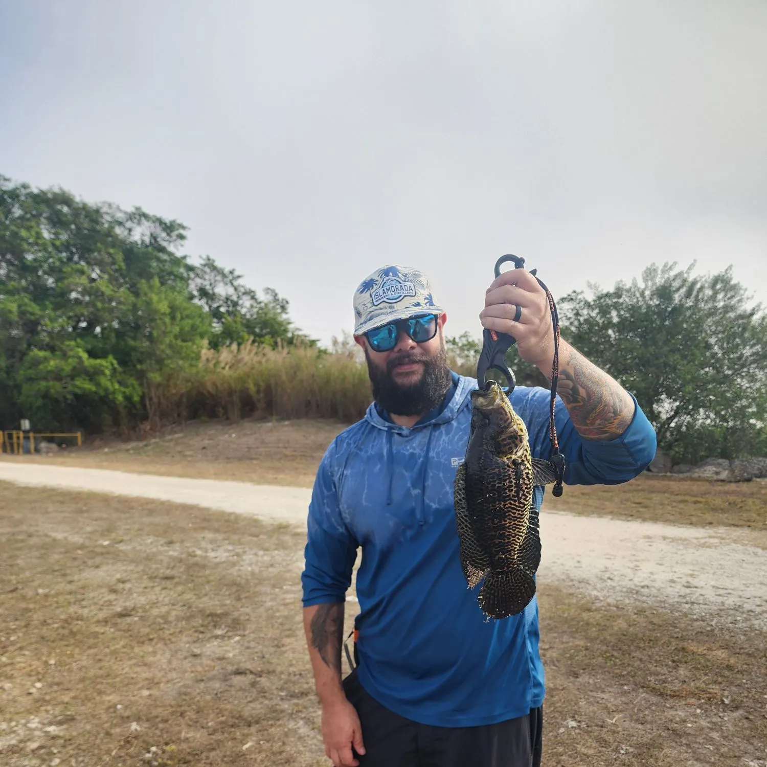 The most recent Jaguar cichlid catches on Fishbrain