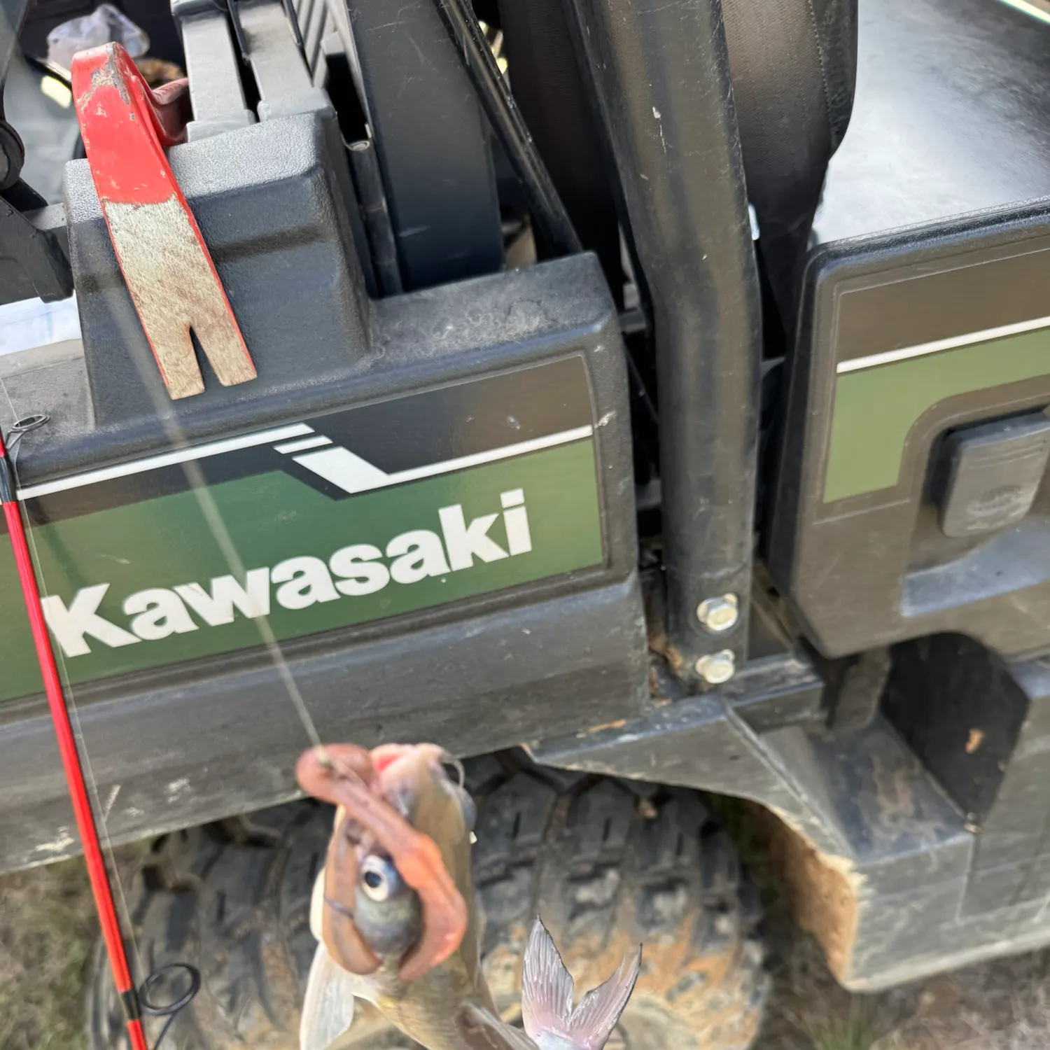 The most recent Hardhead sea catfish catches on Fishbrain