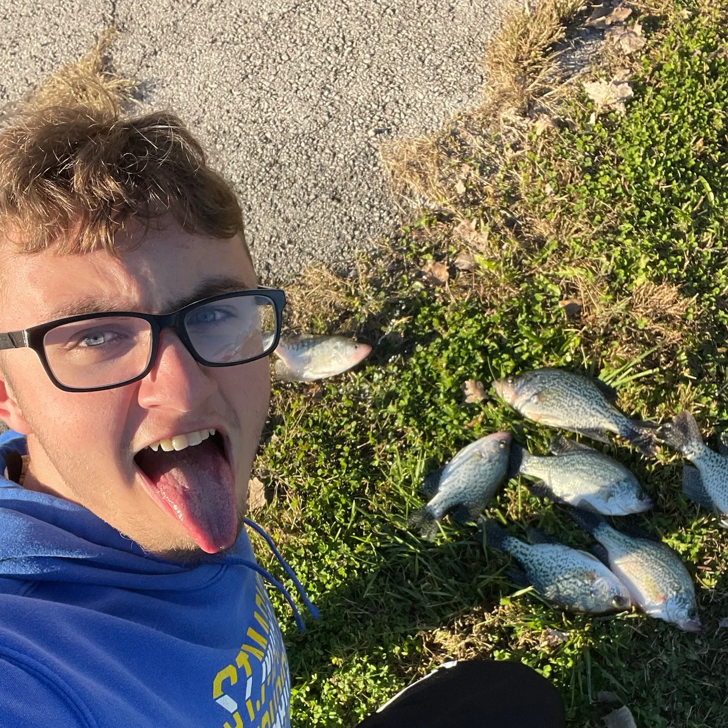 Black crappie caught on Fishbrain
