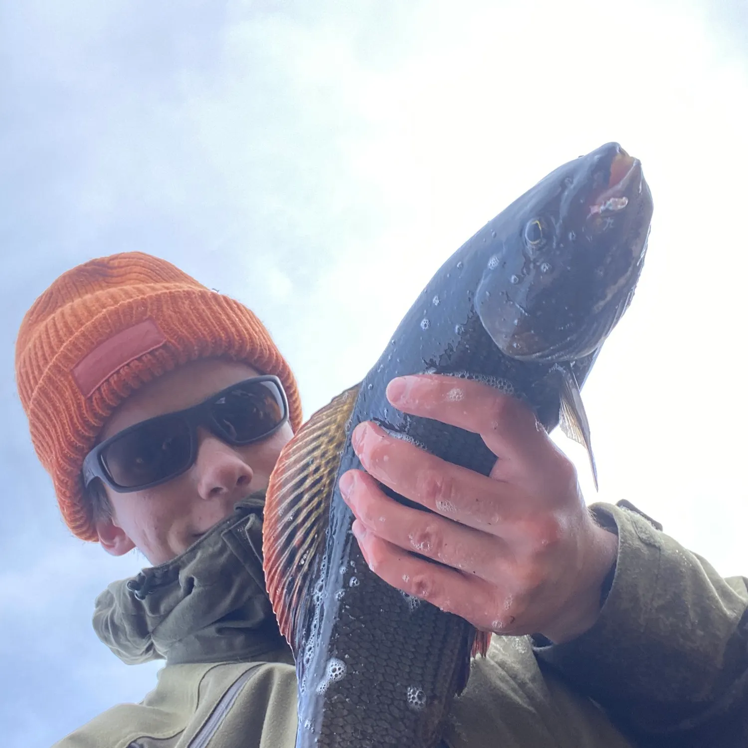 The most recent European grayling catches on Fishbrain