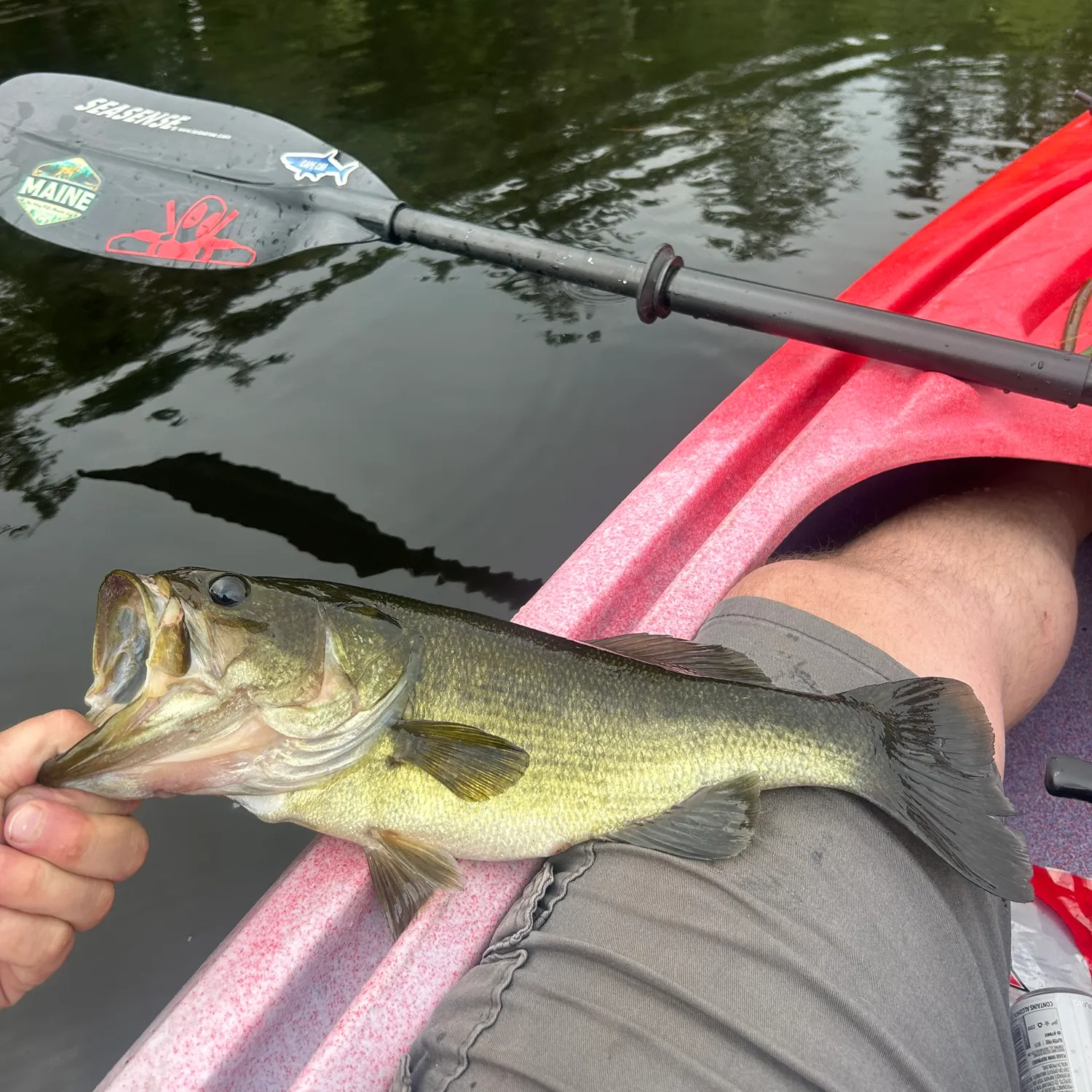 angler catch